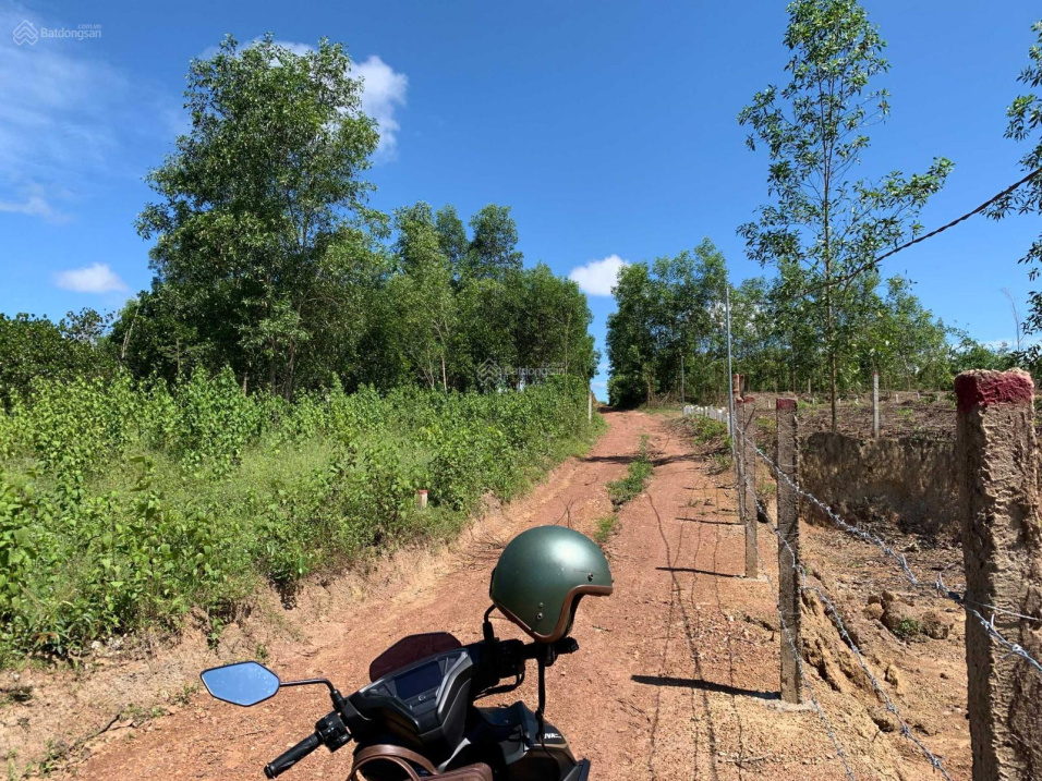 Bán gấp lô đất dân Diên Xuân giá chỉ 599 triệu full thổ cư