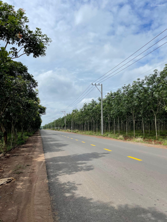 Bán lô đất 20 ha mặt tiền ĐT 756C, xã Tân Hưng