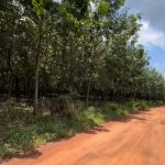  90000m2 - 4