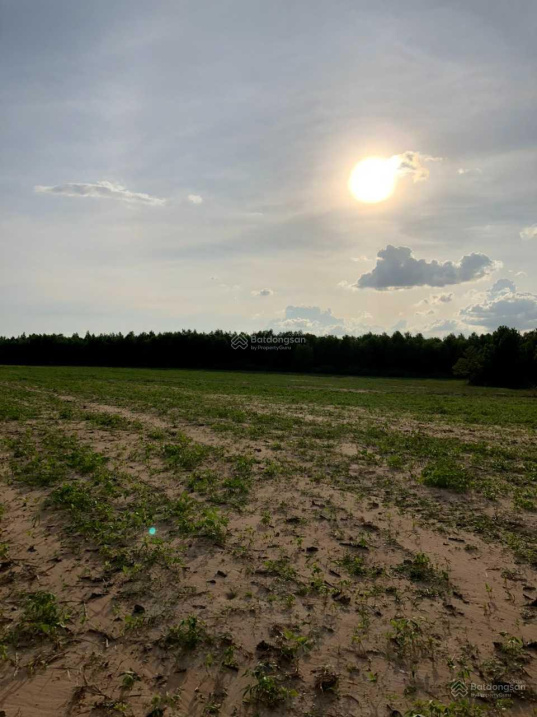 Bán lỗ đất sào giá yêu thương - Sổ riêng - khu dân cư đông đúc - Hòa Thạnh - Châu Thành