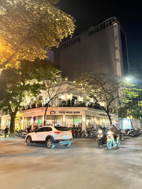 Bán nhà mặt phố Trần Hưng Đạo, Hoàn Kiếm - lô góc - 1305m2 - 2 tầng - mặt tiền 24m 0974 660 824