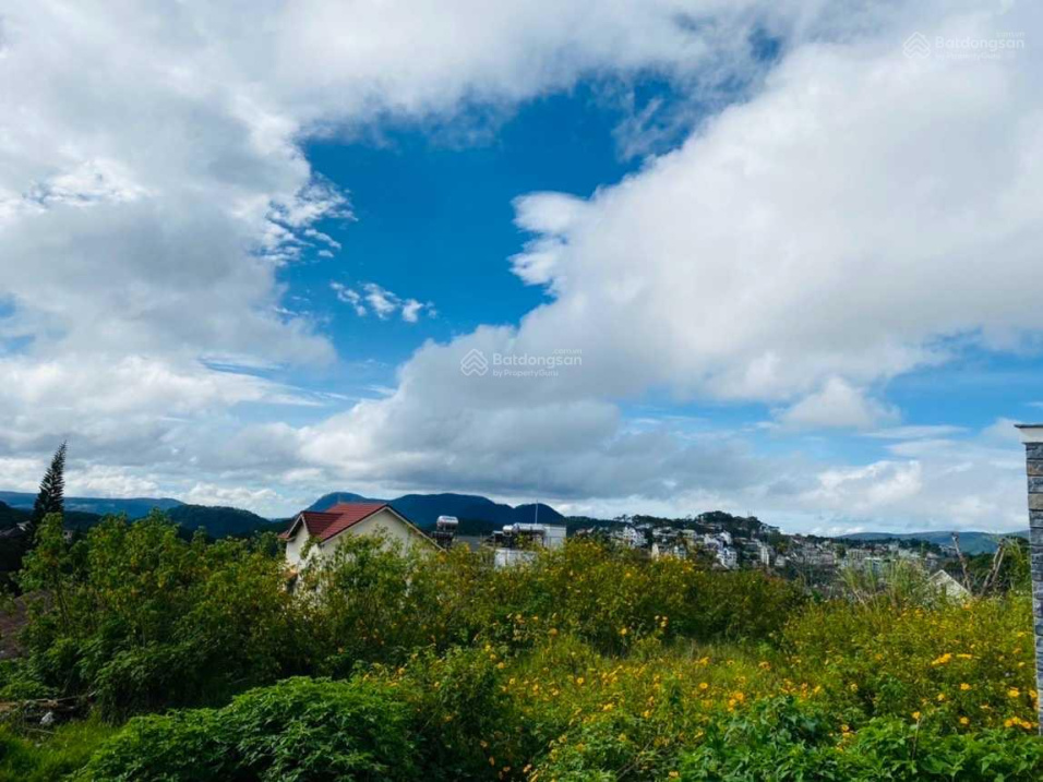 Bán nhanh đất đẹp view đồi thông khe sanh Lê Văn Tám 304.6m2 (thực tế 352m2) P10, Đà Lạt chỉ 17 tỷ