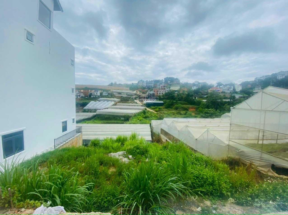 Bán nhanh lo việc đất góc 2 mặt thoáng có view Nam Hồ P11 Đà Lạt 202m2 ngang 16.4m, giá chỉ 7.5 tỷ
