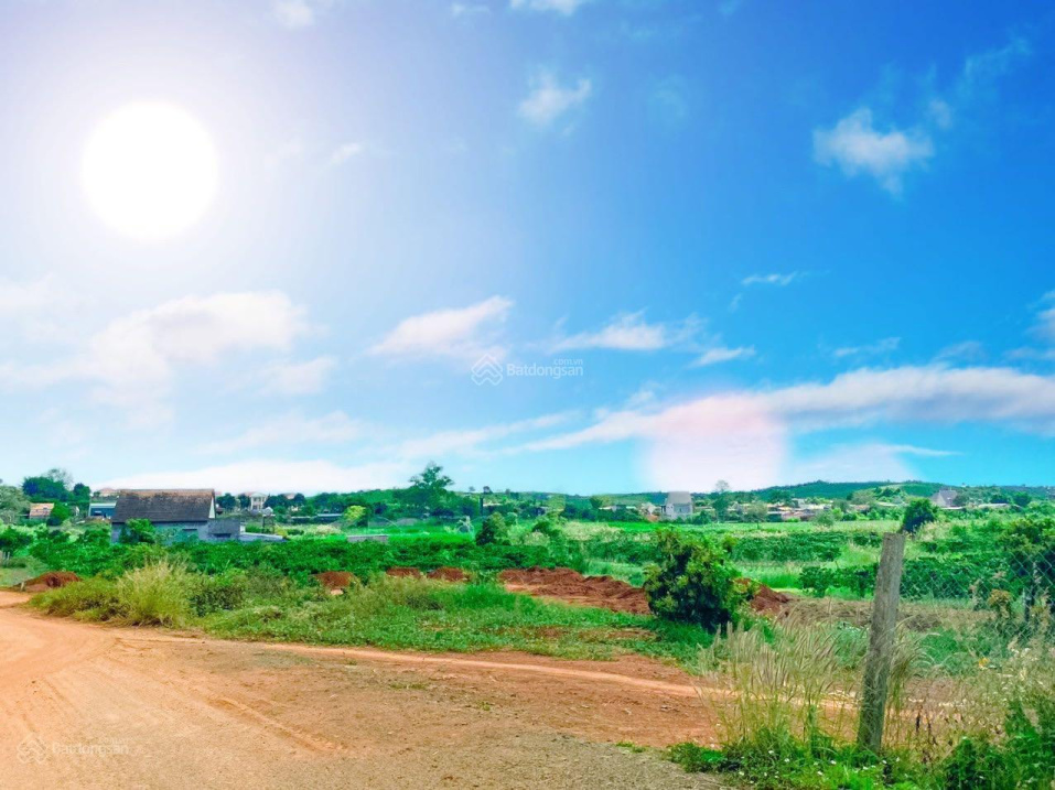 Bán sỉ 7 nền đất phân lô 1.1ha ngay chợ Tân Thanh, đường bê tông sẵn, đất ôm suối view đẹp, 12tỷ TL