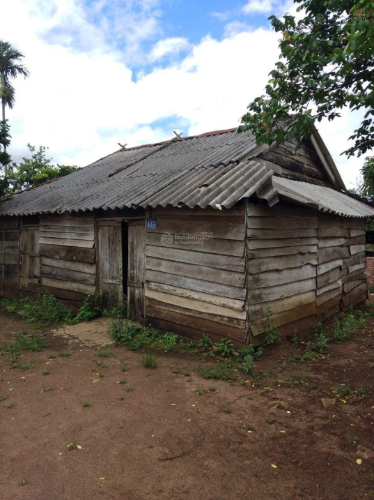 Bán vườn trái cây có ao cá hơn 1ha3