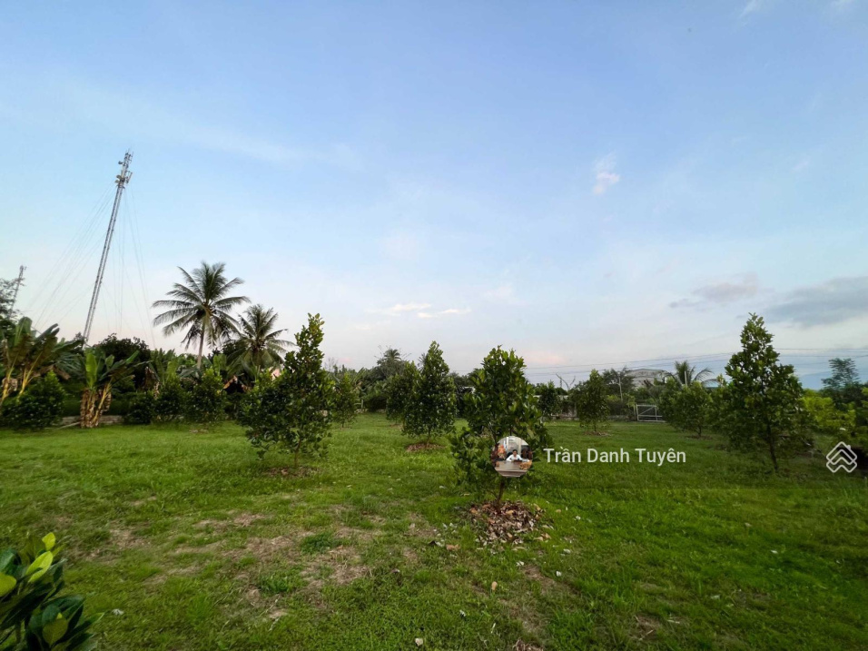 Cần bán 1ha farm tâm huyết tại xã Diên Xuân - Diên Khánh - Khánh Hòa, có sẵn 350 gốc bưởi 5 năm