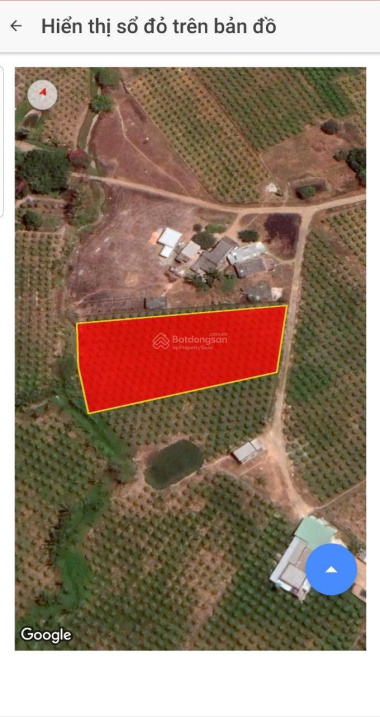 Cần bán 2.000m2 đất vườn Hàm Kiệm, Hàm Thuận Nam