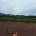  70000m2 - 5