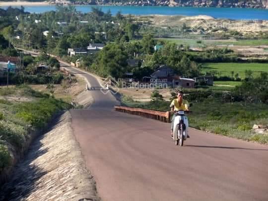 Cần bán các lô đất ven biển xã Cát Hải, huyện Phù Cát, DT đa dạng từ 160m2 đến 1400m2, giá tốt