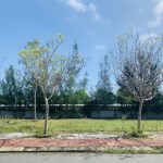  121m2 - 3