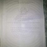  1271m2 - 5