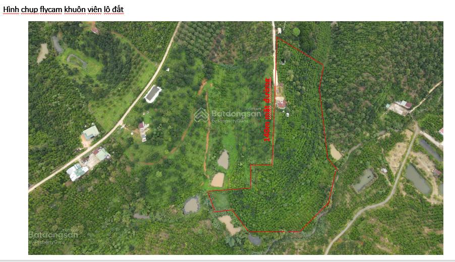 Cần bán đất vườn giáp thành phố Bảo Lộc, có sẵn thổ cư giá chỉ 450.000đ/m2