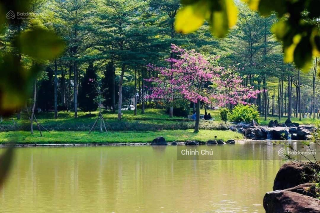 Cần bán lô biệt thự đẳng cấp 1000m2 khu C Xanh villa Giá 18 tỷ vô cùng hấp dẫn! Miễn TG