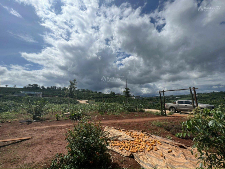 Cần bán lô đất đẹp tại xã Phúc Thọ, huyện Lâm Hà, Lâm Đồng