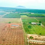  10000m2 - 3