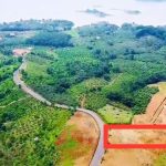  1245m2 - 1