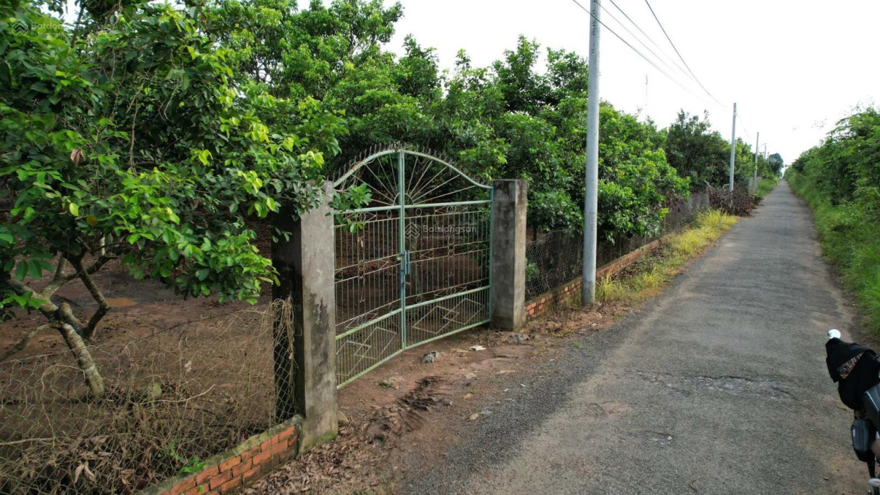 Chính chủ bán 1600m2 đất sổ hồng có sẵn quy hoạch xây hotel văn phòng logistic, 0908 113 111