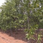  3500m2 - 4