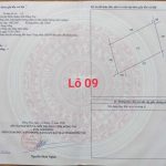  1000m2 - 5