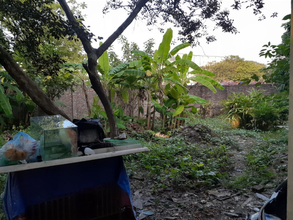 Chính chủ bán mảnh đất ngõ 88 phố Ngũ Nhạc, phường Thanh Trì, HM DT 157 m2, giá 55 tr/m2. TL