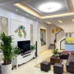  40m2 - 1