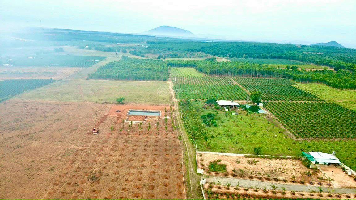 Chính chủ cần bán mặt tiền đường dẫn Hàm Kiệm Tiến Thành giá tốt. Liên hệ 0919 080 795 gặp Linh