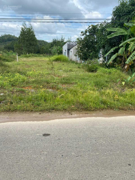 Chính chủ gửi bán lô đất mặt tiền tỉnh lộ 725 Đạ Tẻh