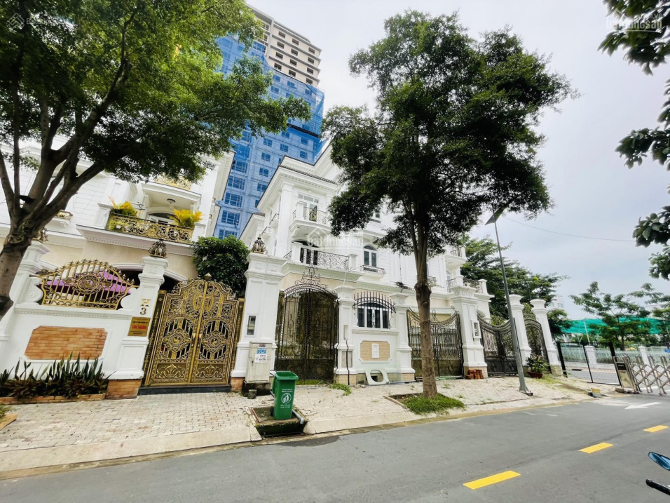 Chính chủ gửi bán nhiều căn BT Cityland BigC quận 7, DT 6x20m, 10x22m, 29x25.5m, SHR, giá 26 tỷ