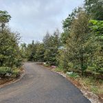  3000m2 - 4