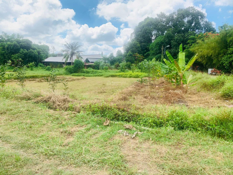 Chủ ngộp cần ra gấp lô đất 1000m2 ngay đường Ba Sa, Xã Trung Lập Hạ. Giá 1,5tỷ