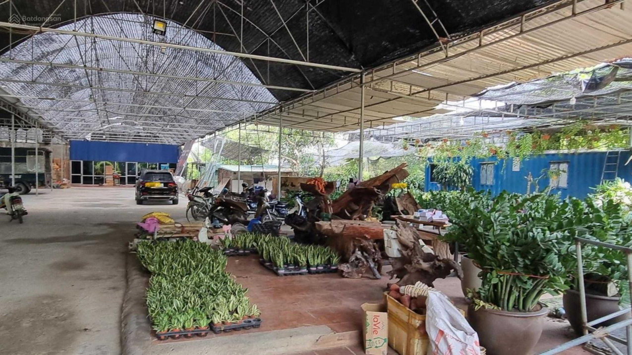 Cực hiếm! Mặt phố Âu Cơ 750m2, mặt tiền 21m, 99 tỷ