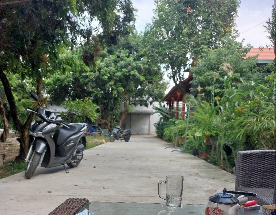 Đất 136m2 thích hợp xây nhà vườn, đường Thanh Niên, sát UBND phường Tân Bình, TP Dĩ An