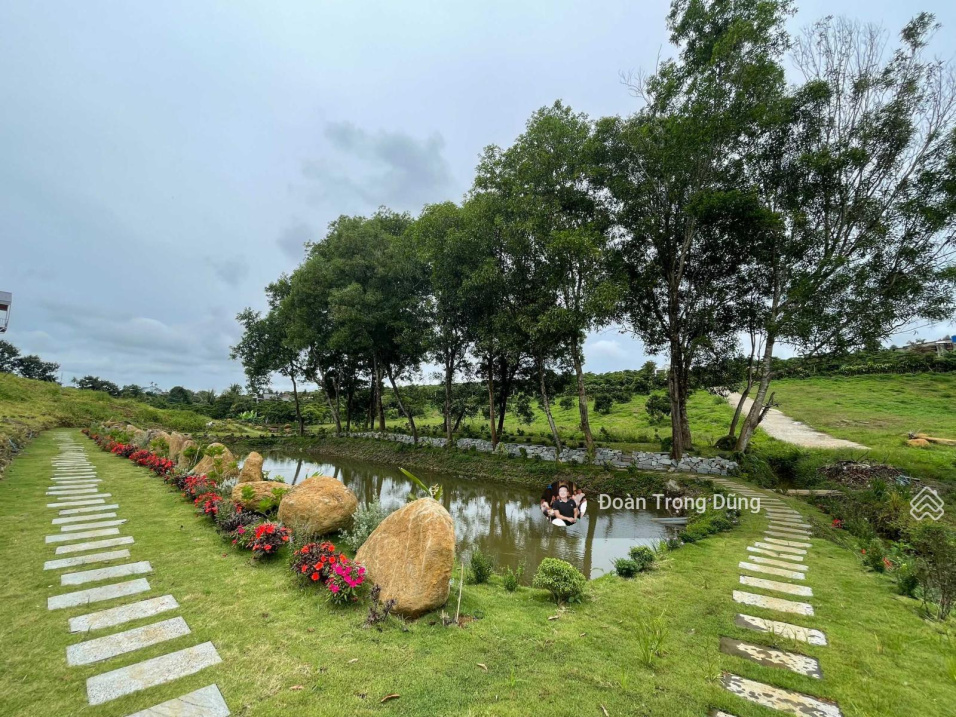 Đất Bảo Lộc Lâm Đồng đón sóng cao tốc Dầu Giây Liên Khương sổ đỏ thổ cư đầu tư tiềm năng