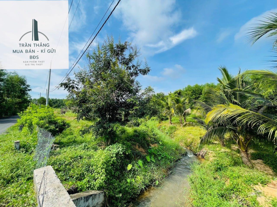 Đất Suối Rao view suối khu DC mặt tiền đường nhựa 6m