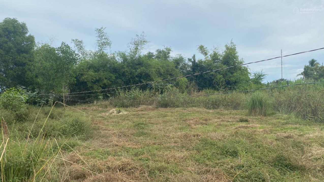 Đất TP LaGi 676.6m2 giá chỉ 350 triệu