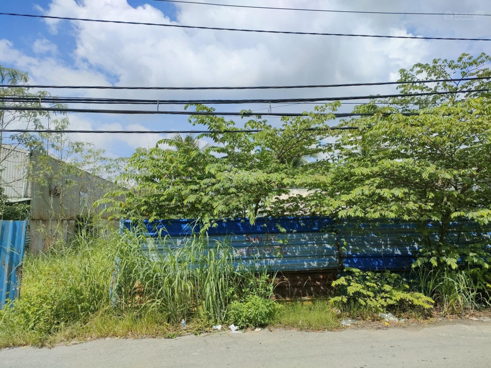 Đất bán mặt tiền Lê Đình Chi, xã Lê Minh Xuân, Huyện Bình Chánh