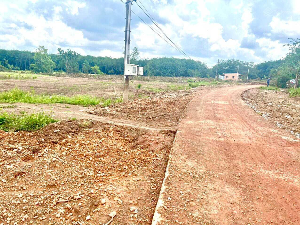 Đất ngay khu công nghiệp, sổ sẵn sát UBND Tân Lợi giá chỉ từ 680tr