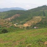  1058m2 - 5