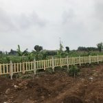  1000m2 - 4
