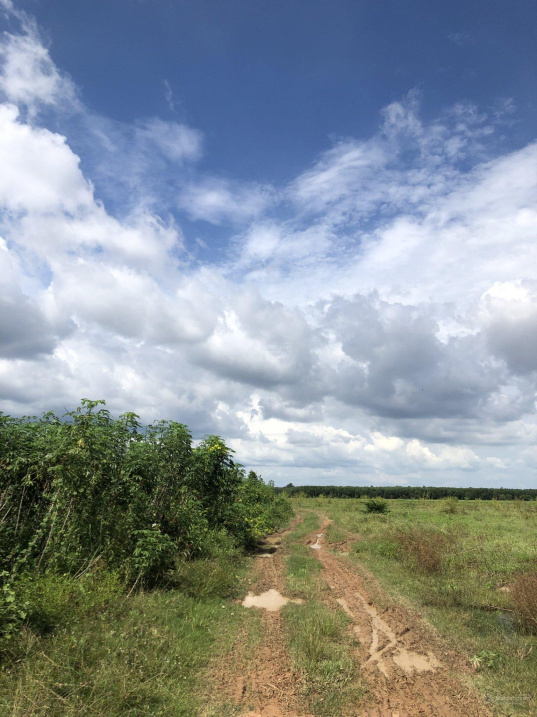 Đất sào sổ riêng - giá rẻ bất ngờ chỉ 4xxtr / sào - KDC trung tâm An Cơ - Châu Thành