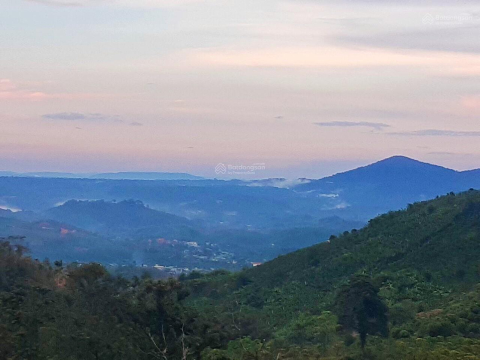 Đất vườn săn mây - Lộc Bắc - Bảo Lâm