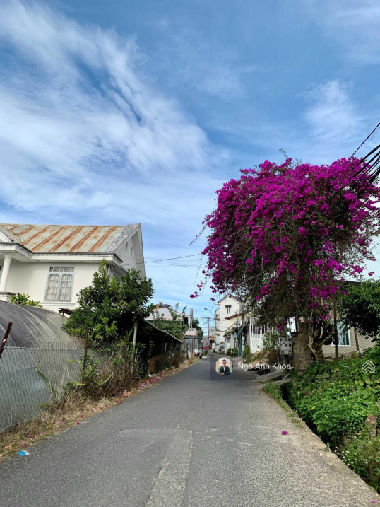 GĐ bán đất, ngang 7m, 127m2, đường ô tô, P4, Đà Lạt, giá 6,2 tỷ