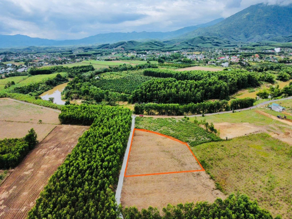 Gần sông xã Diên Xuân - chỉ 300 triệu - quá rẻ tiềm năng