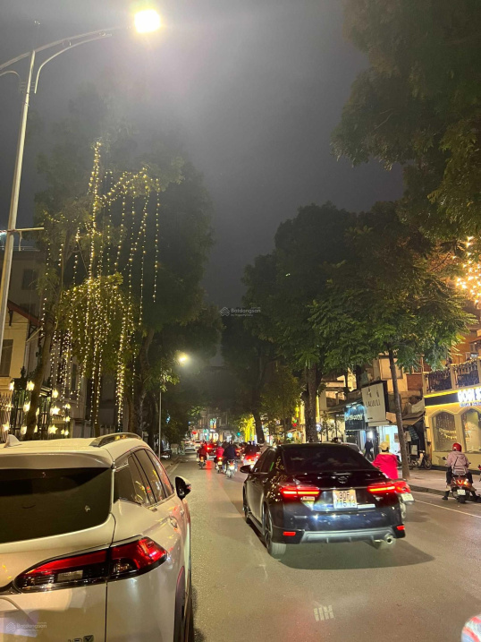 Gấp! Nhà mặt phố Ngô Thì Nhậm 268m2, mặt tiền 13.5m, 118 tỷ