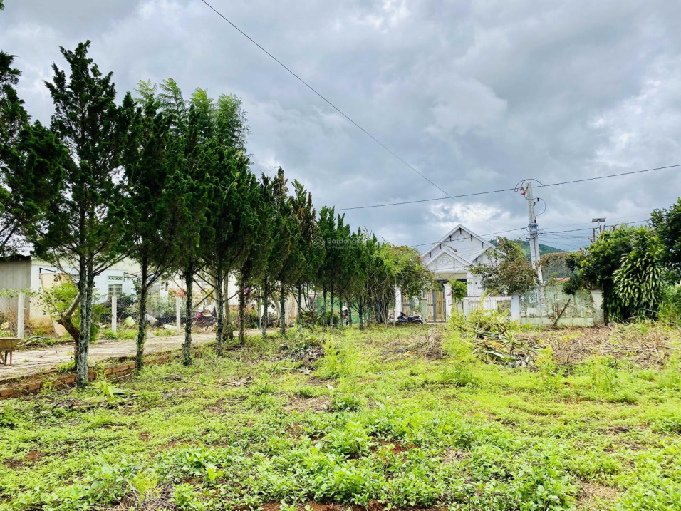 Gia đình cần bán nhà vườn 7000m2 ngay sân bay Liên Khương - Đà Lạt