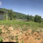  42000m2 - 5