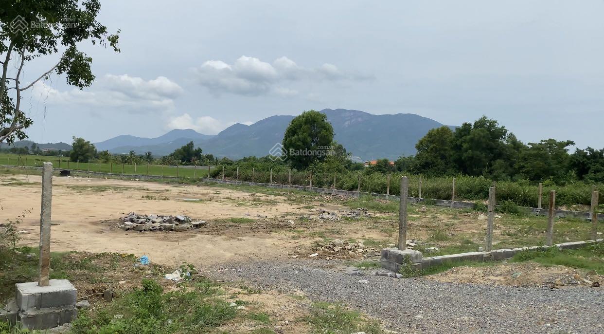 Hơn 5000m2 mặt tiền QL1A ngang 61m thuộc Ninh Hoà