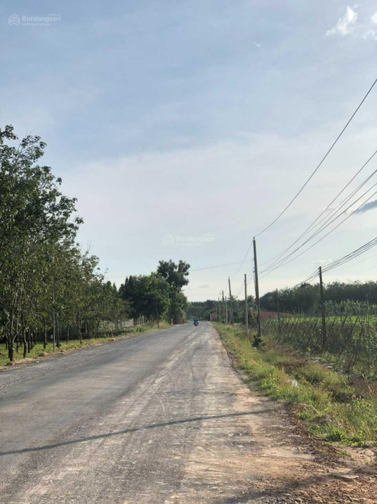 Hot! Đất vườn giá đầu tư - sổ riêng trung tâm Hòa Thạnh - Châu Thành