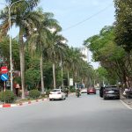  81m2 - 3