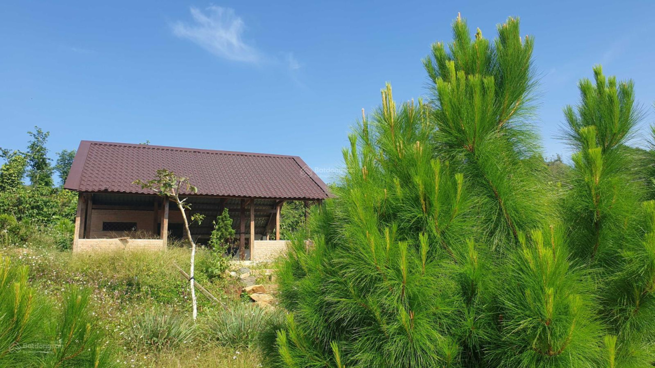 Kẹt tiền cần bán gấp khu camping nghỉ dưỡng gia đình tp bảo lộc đang hoàn thiện